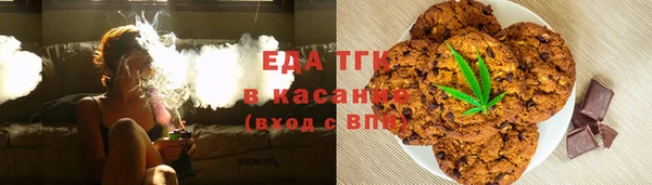 ECSTASY Горняк