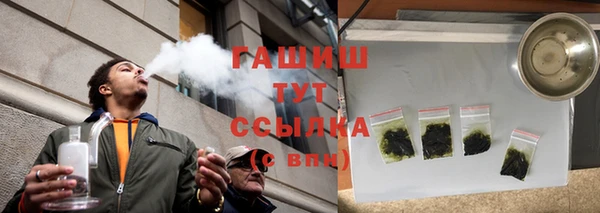 ECSTASY Горняк