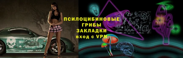 твердый Горно-Алтайск