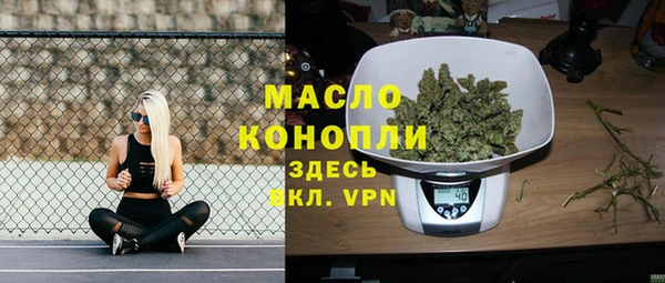 ECSTASY Горняк
