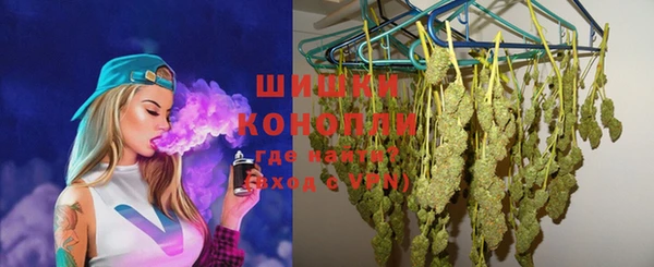 ECSTASY Горняк