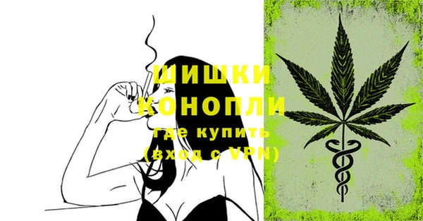 ECSTASY Горняк