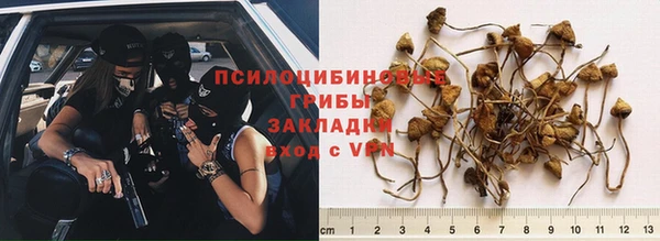 ECSTASY Горняк