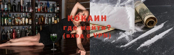 ECSTASY Горняк