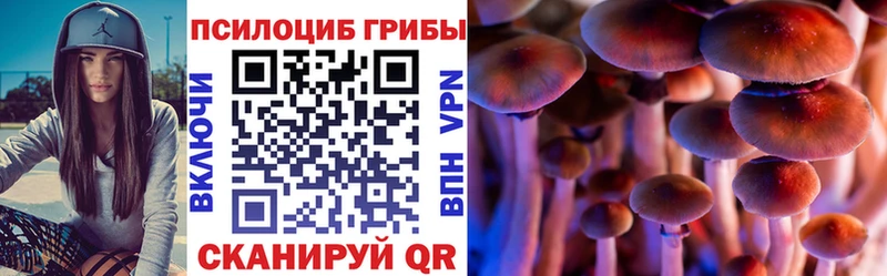 Галлюциногенные грибы Psilocybe  Купить  Первомайск 
